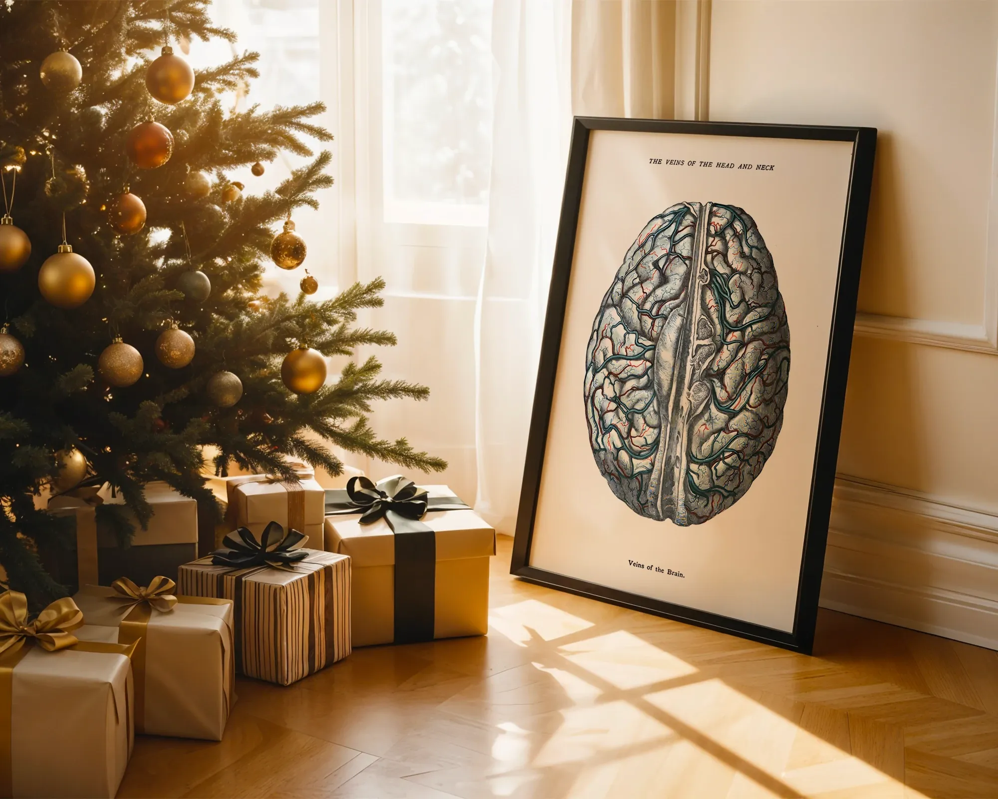 Veins of the Brain — room view 2
