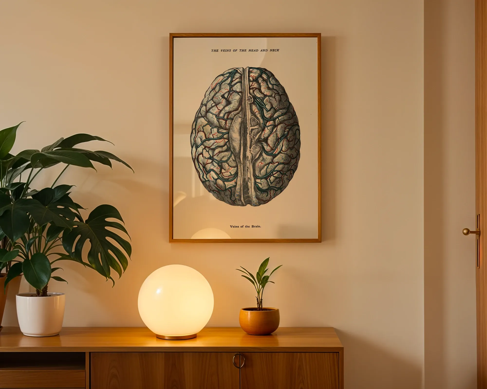 Veins of the Brain — room view 3
