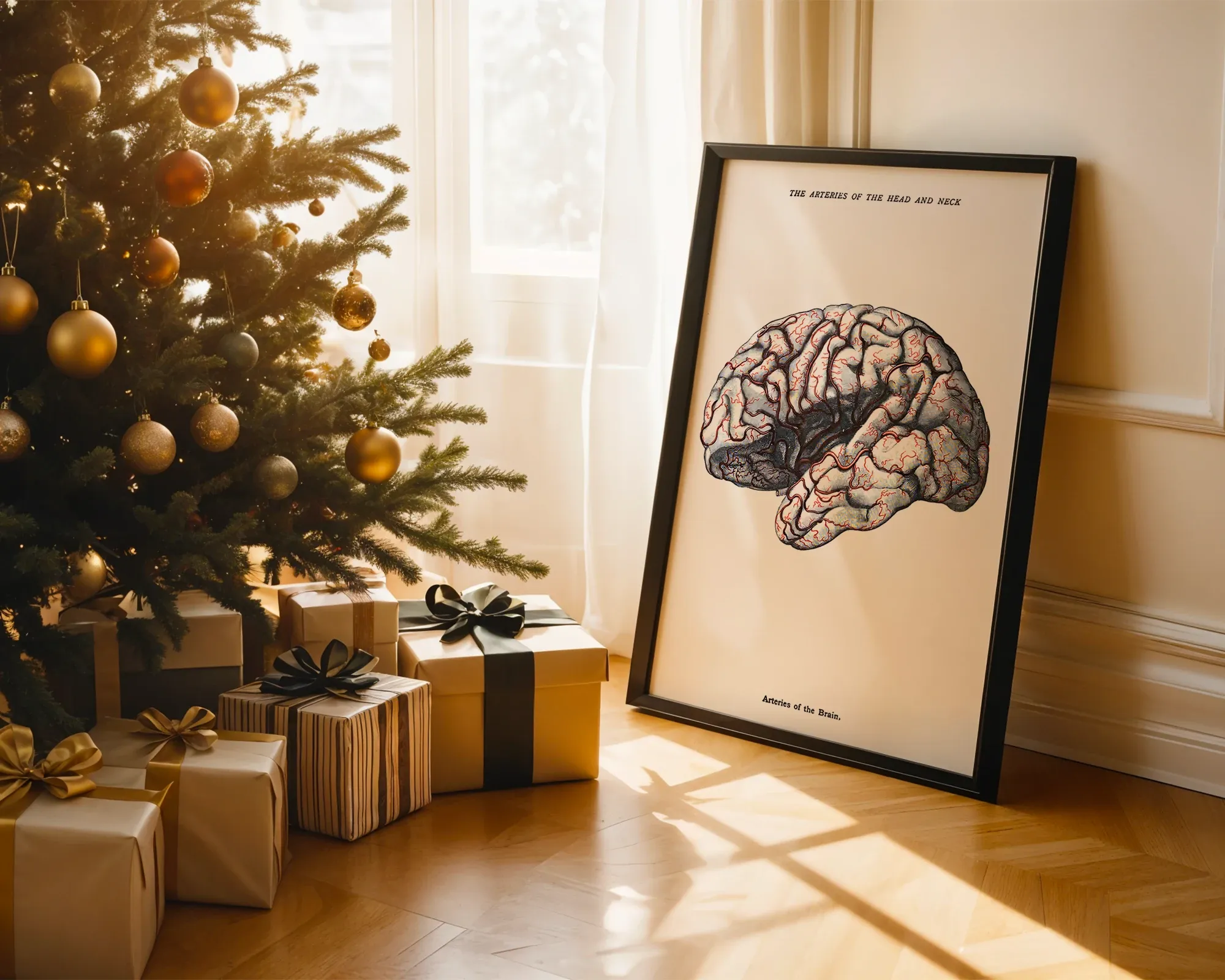 Arteries of the Brain — room view 2