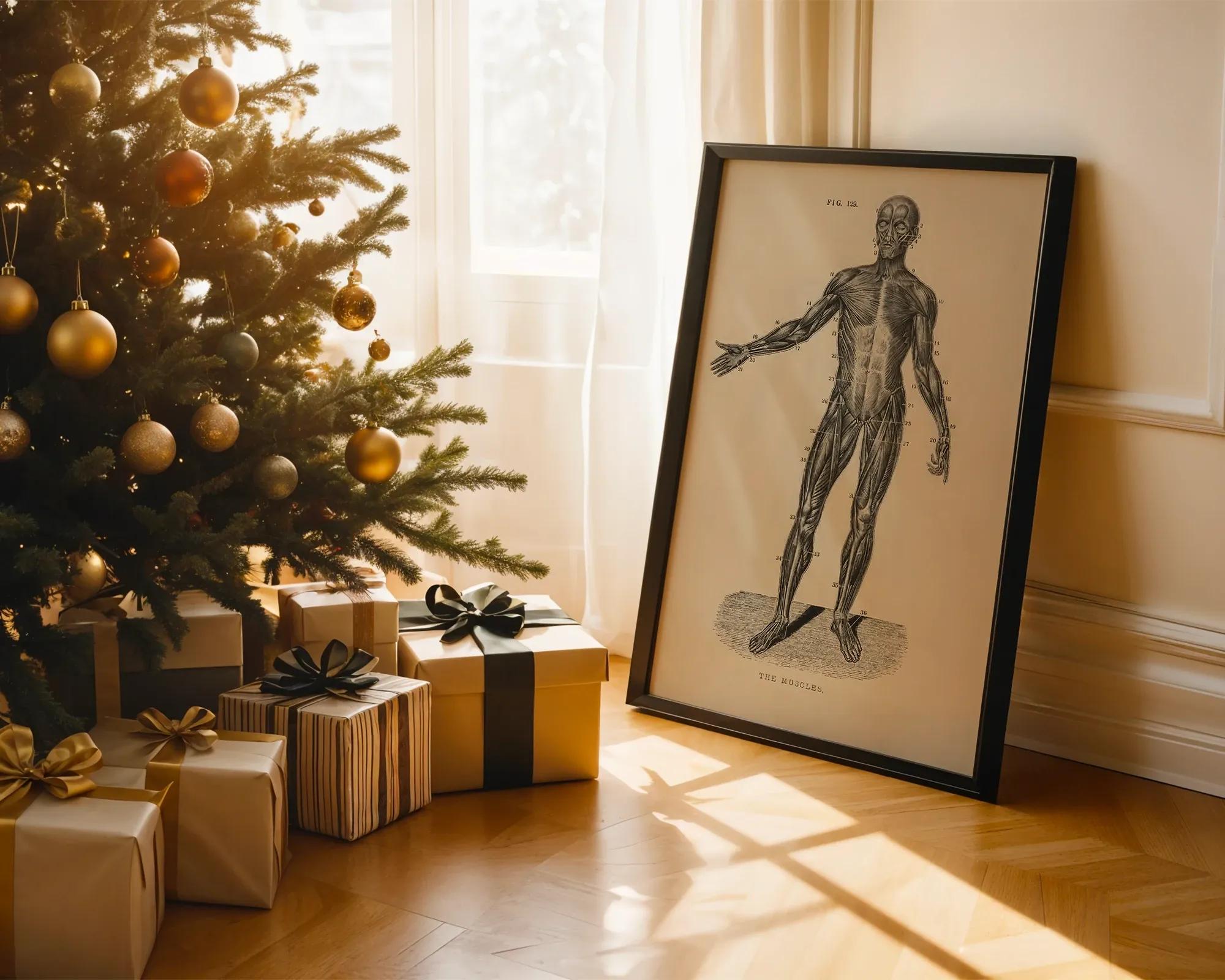 Human Muscular System Illustration — room view 2