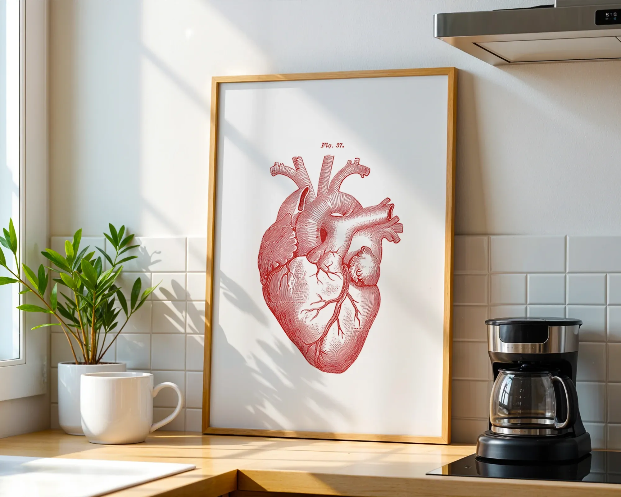 Anatomical Heart Study Red — room view 1