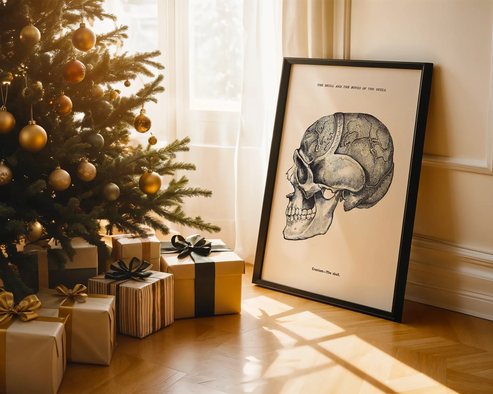 The Skull and Bones of the Skull — room view 2