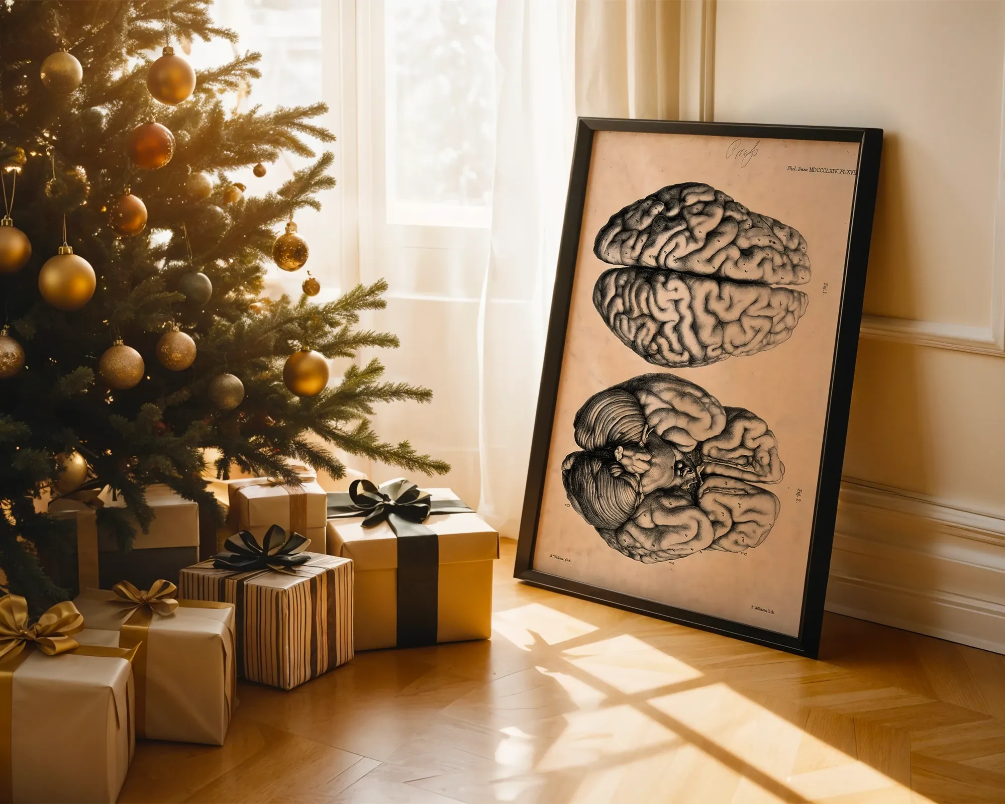 Vintage Human Brain Anatomy Plate — room view 2