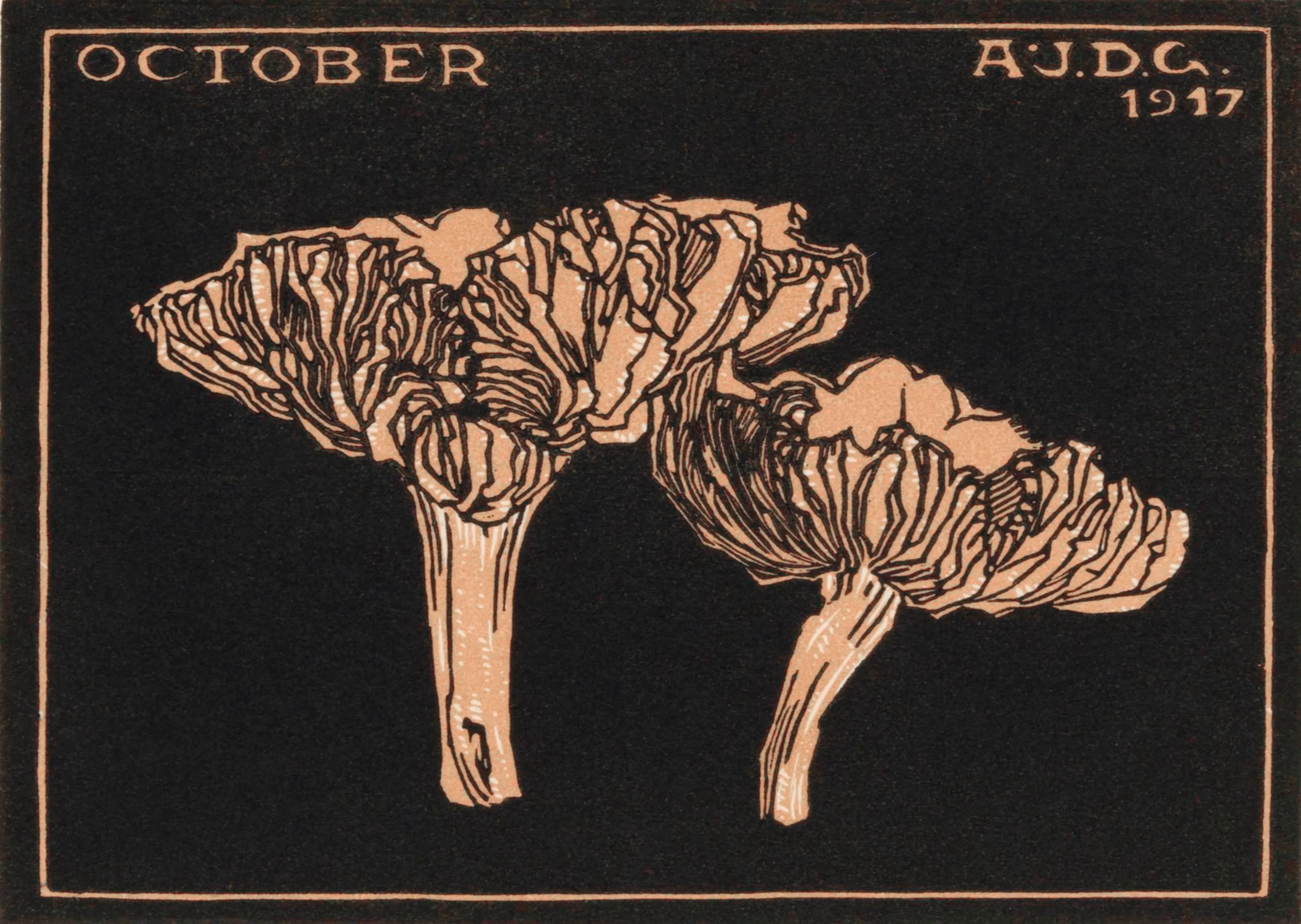 October image 1