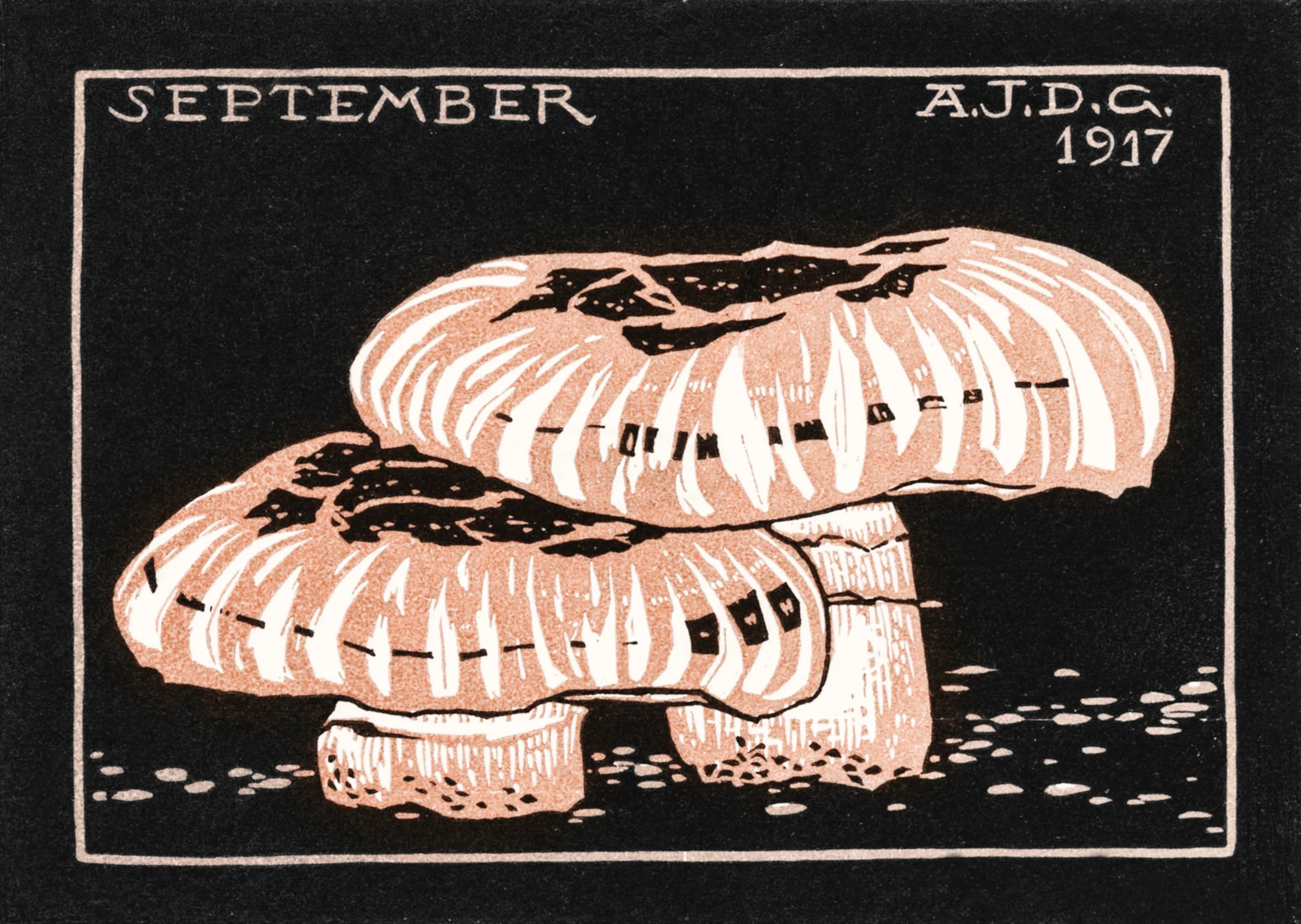 Paddenstoelen (September 1917) image 1
