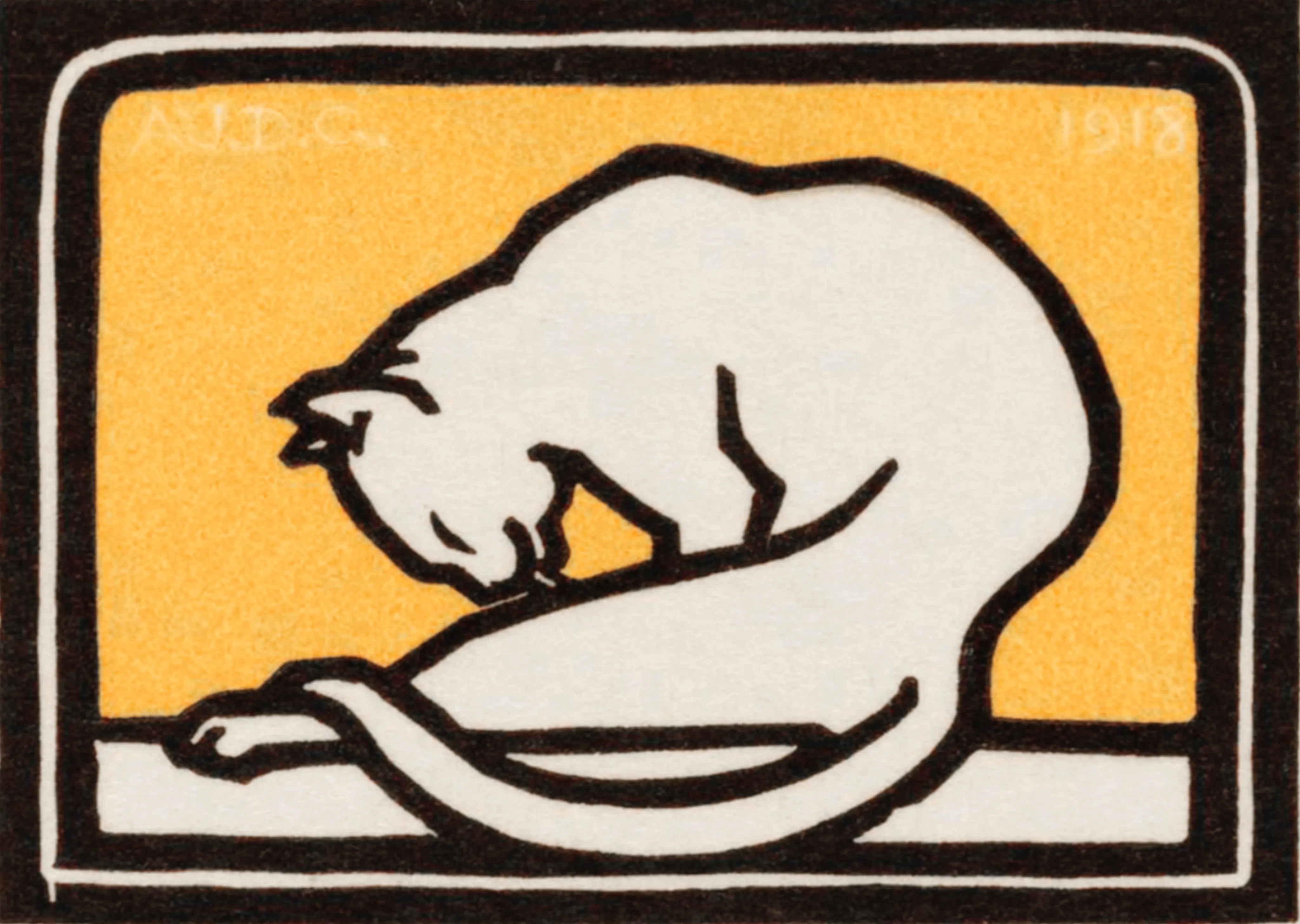 Kat image 1