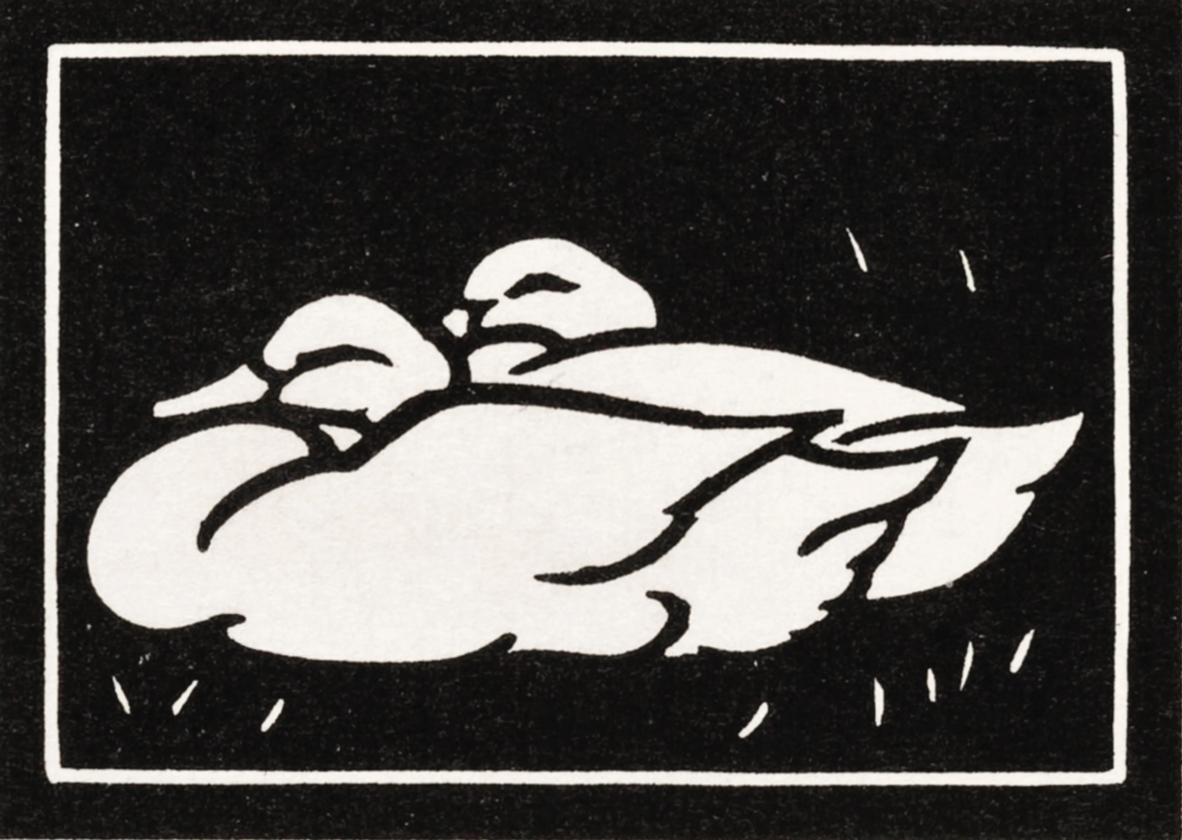 Two Ducks image 1