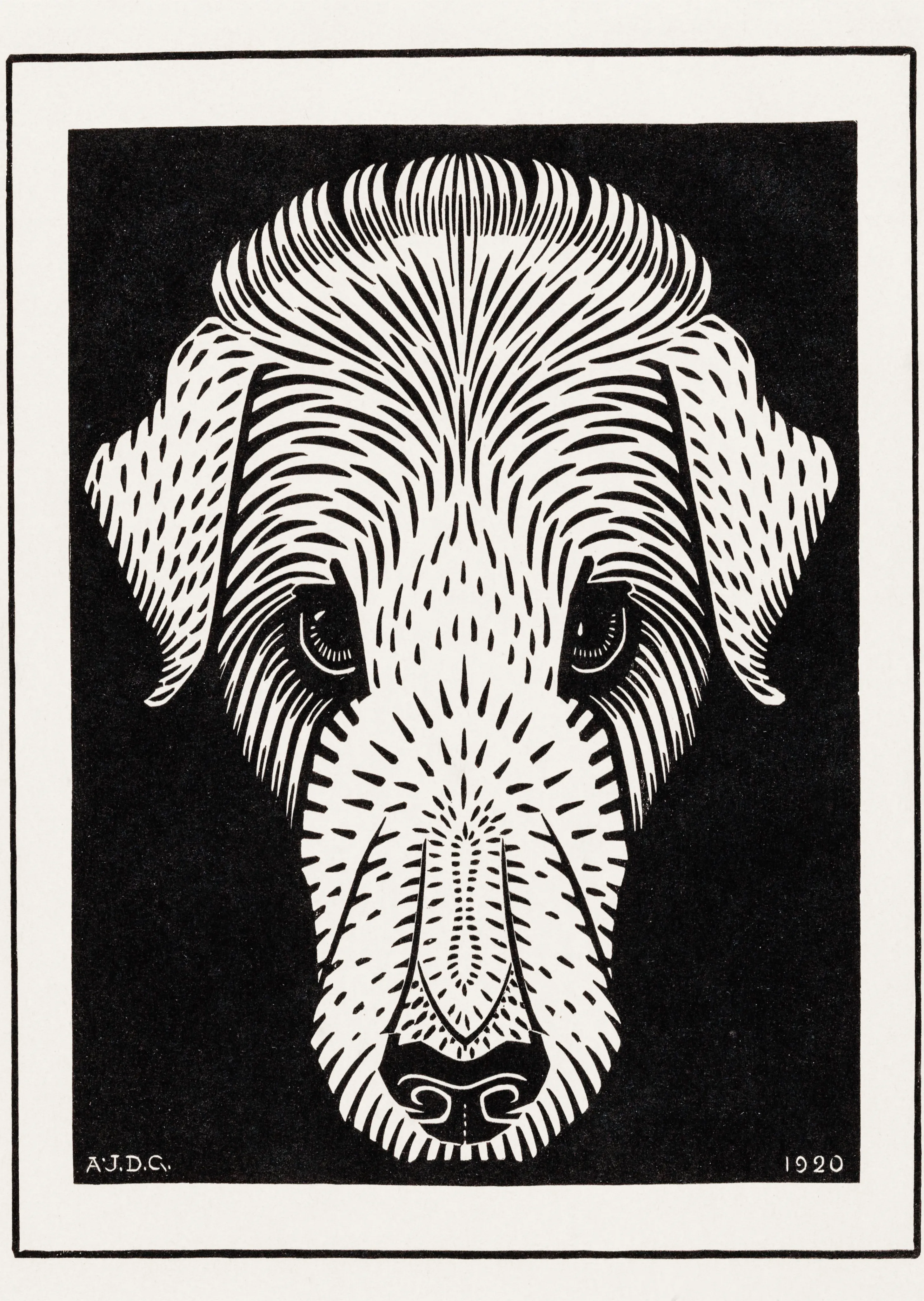 Dog's Head image 1