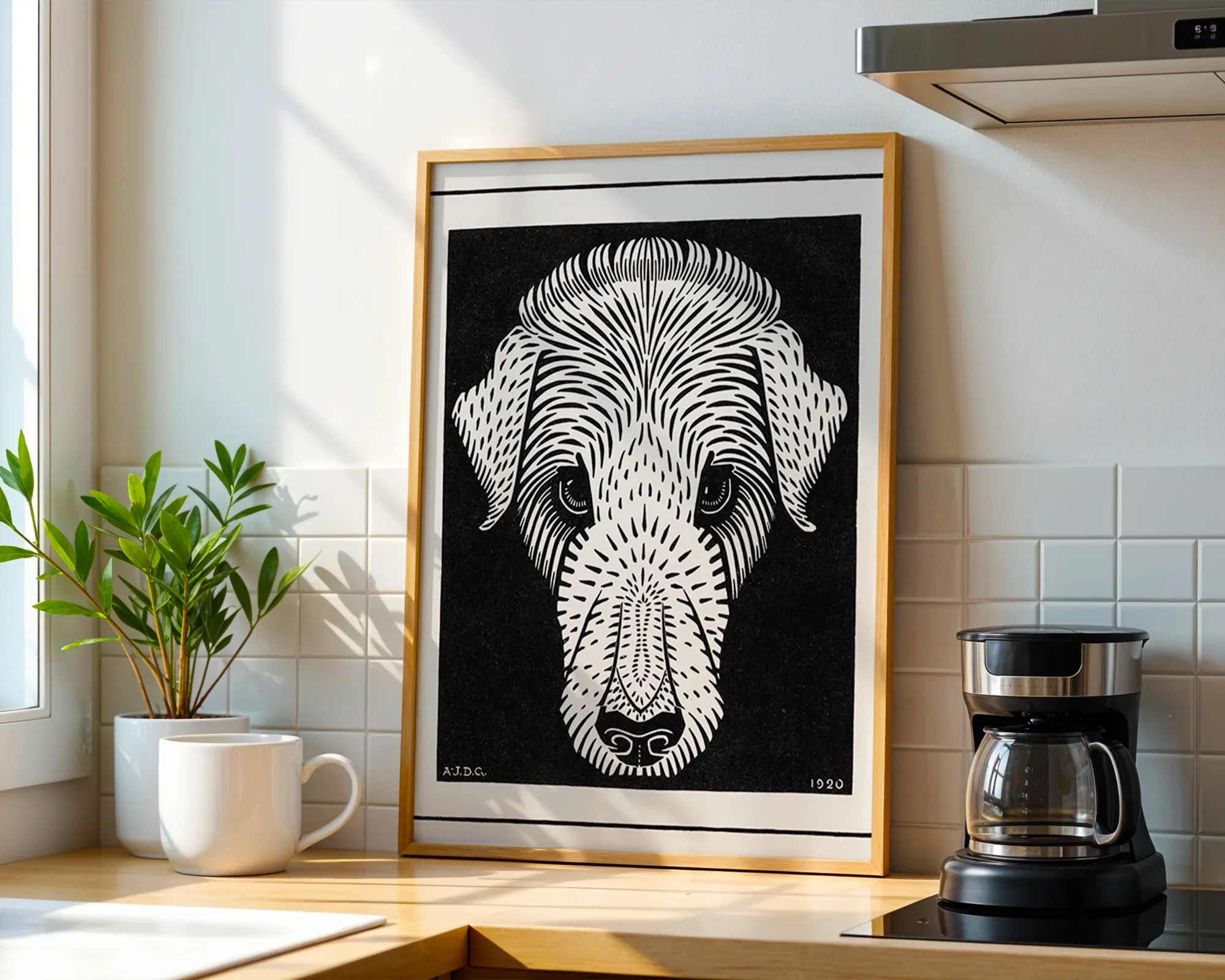 Dog's Head — room view 1