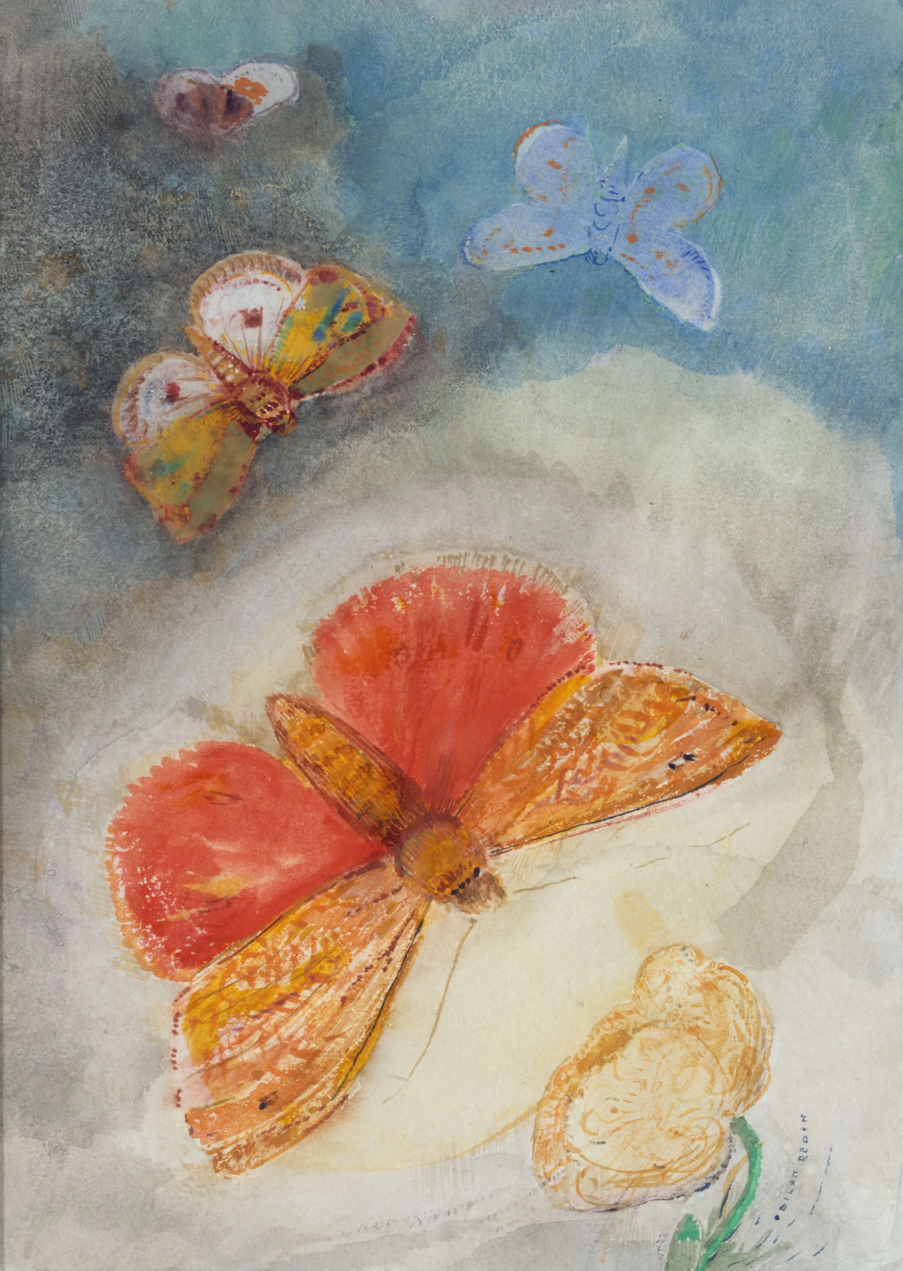 Butterflies image 1