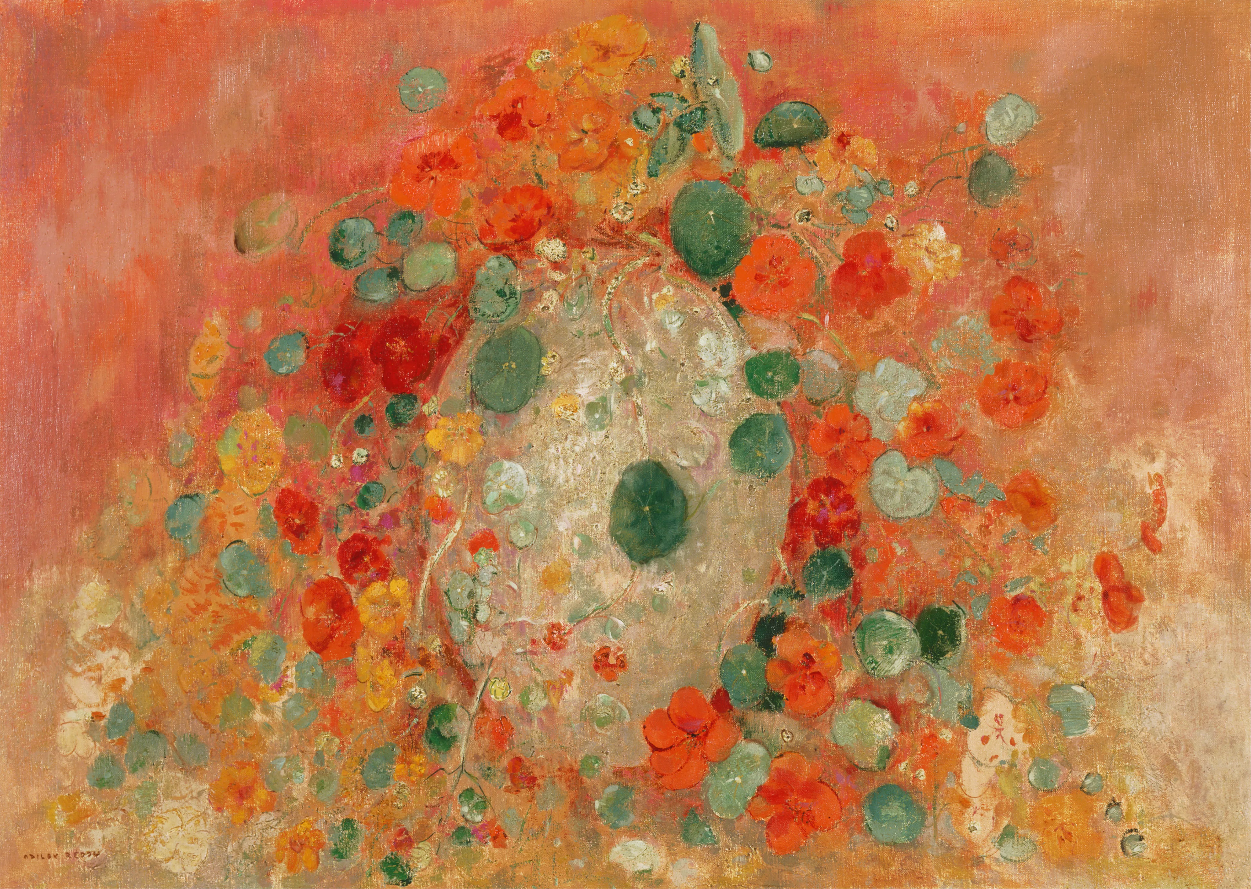 Nasturtiums image 1