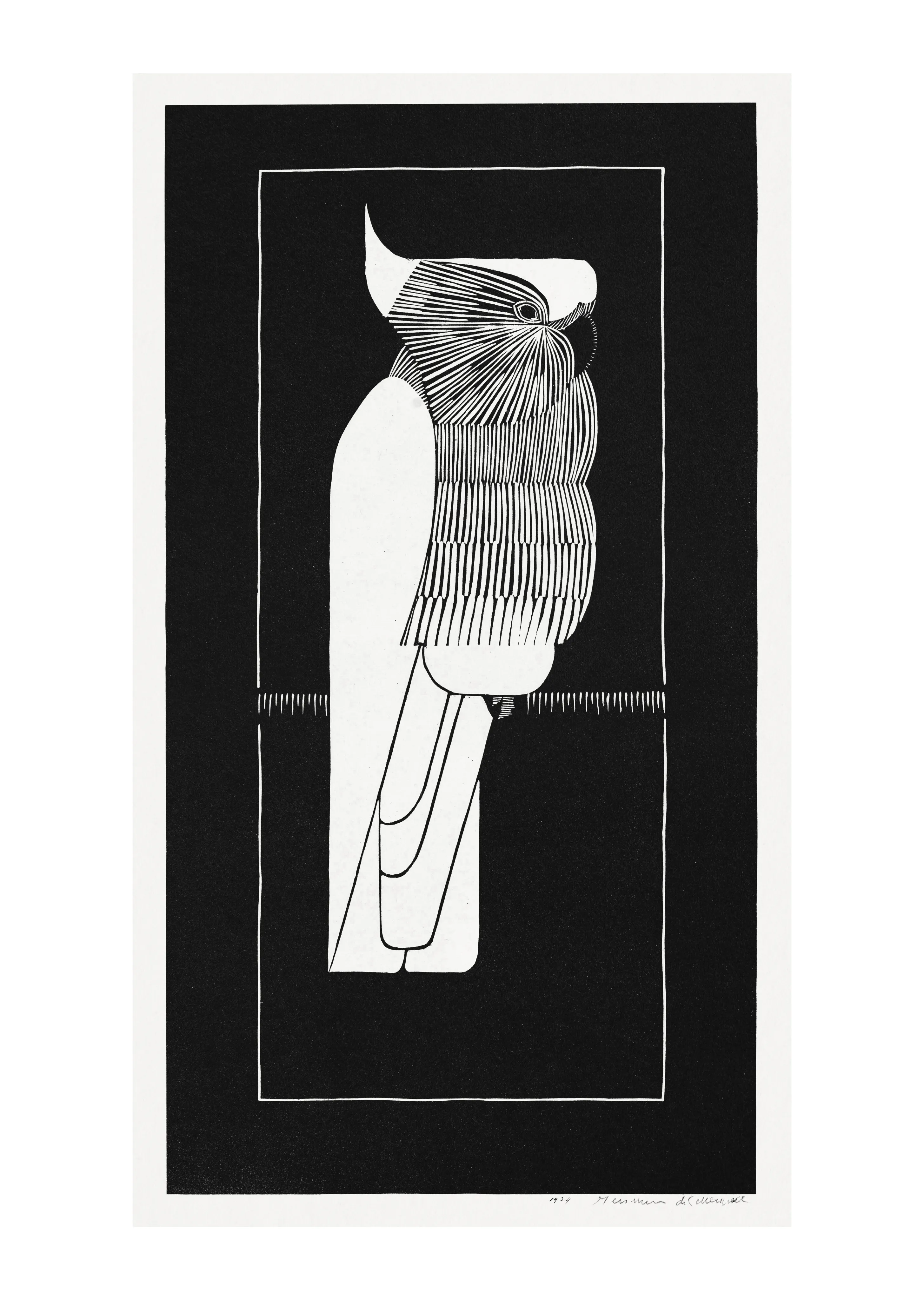 Cockatoo image 1