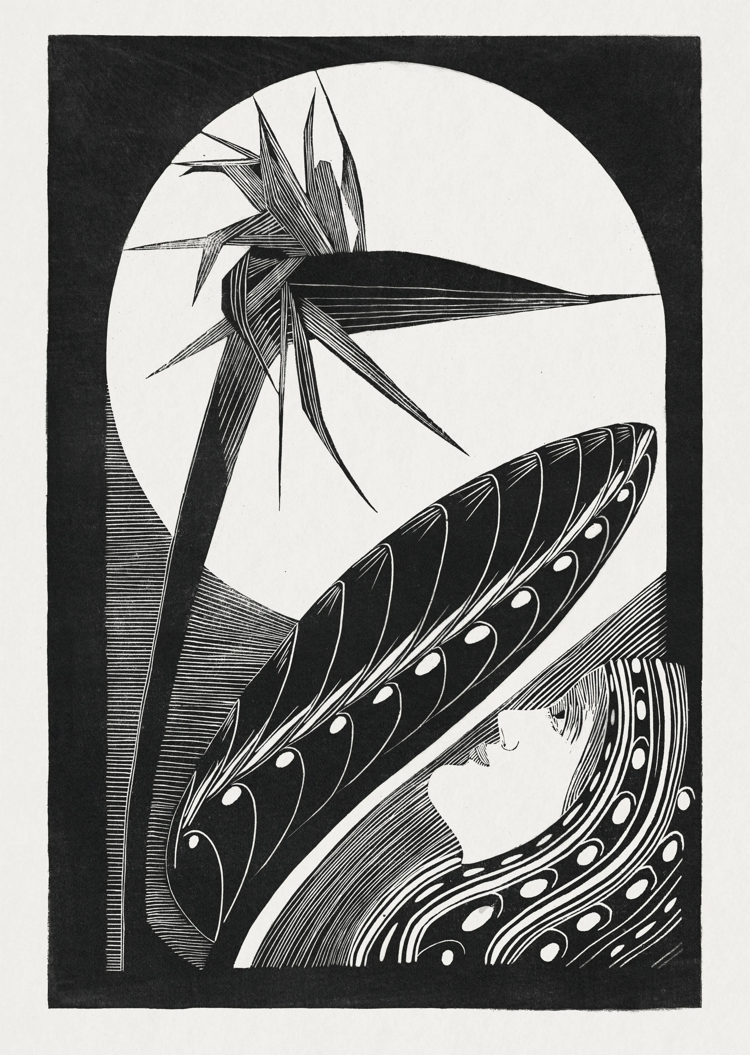 Bird of Paradise and Profile image 1