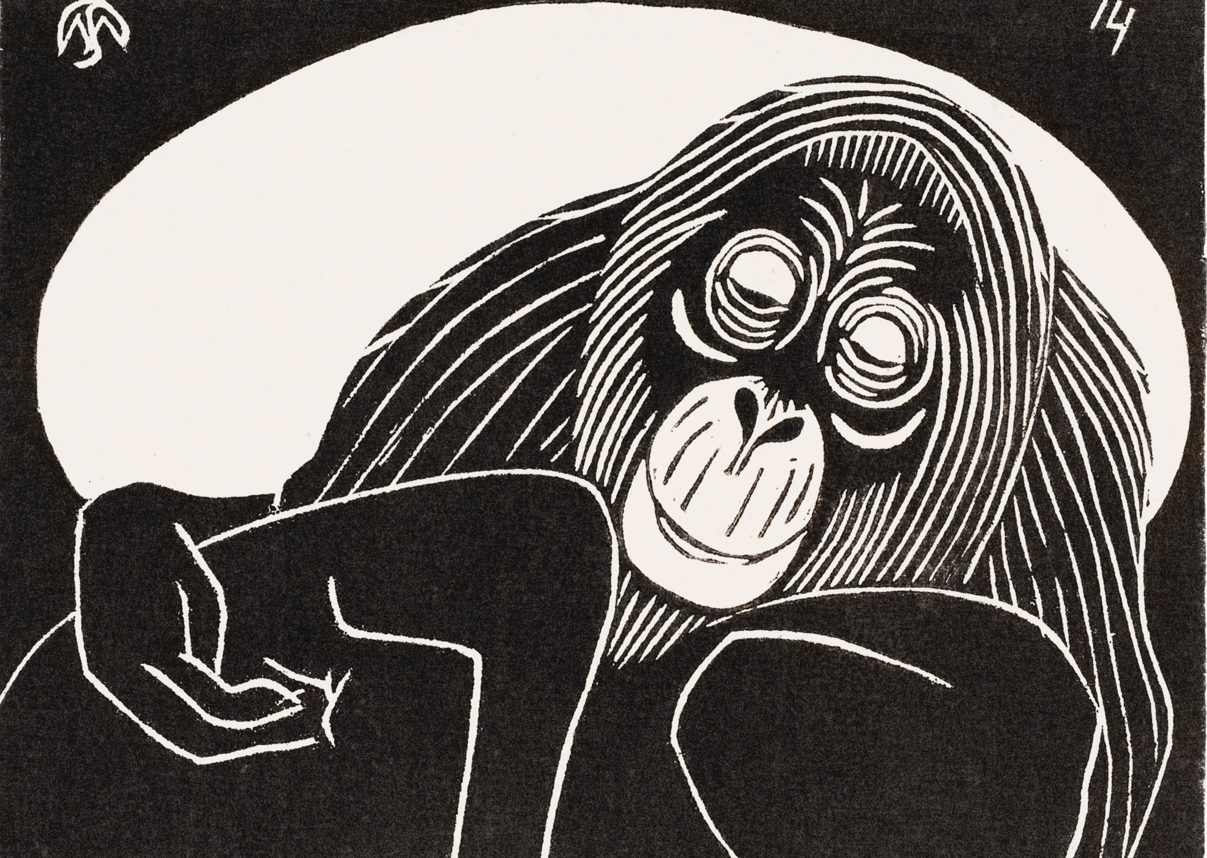 Orangutan image 1