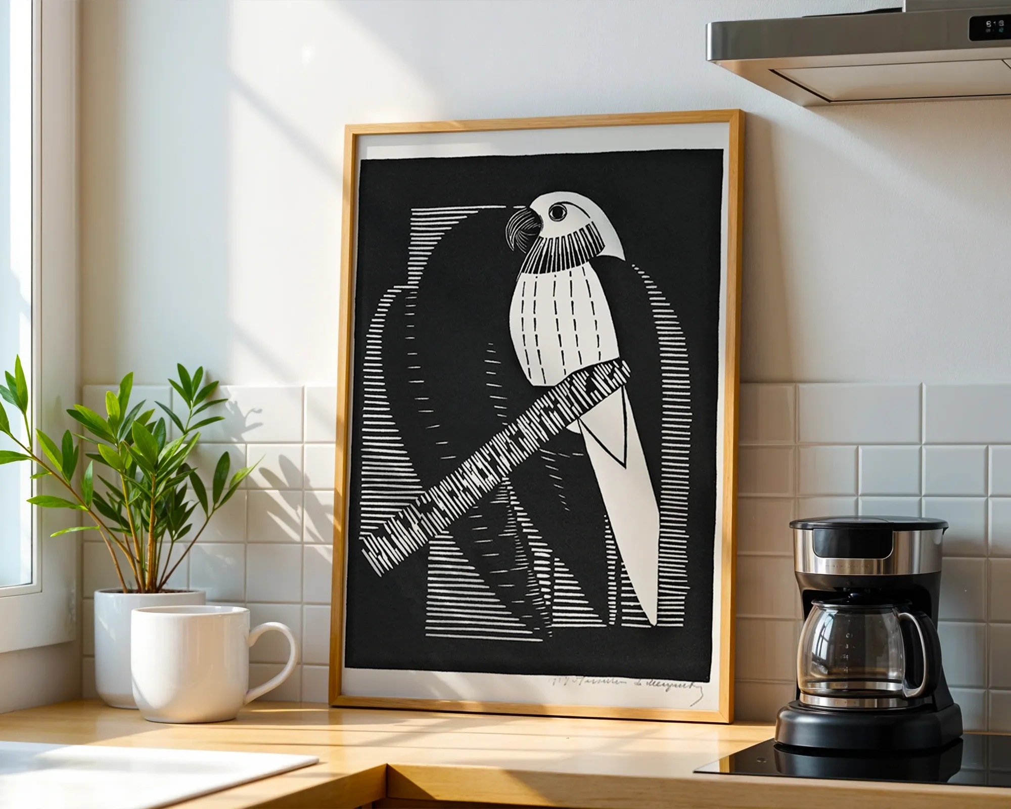 Parrot — room view 1