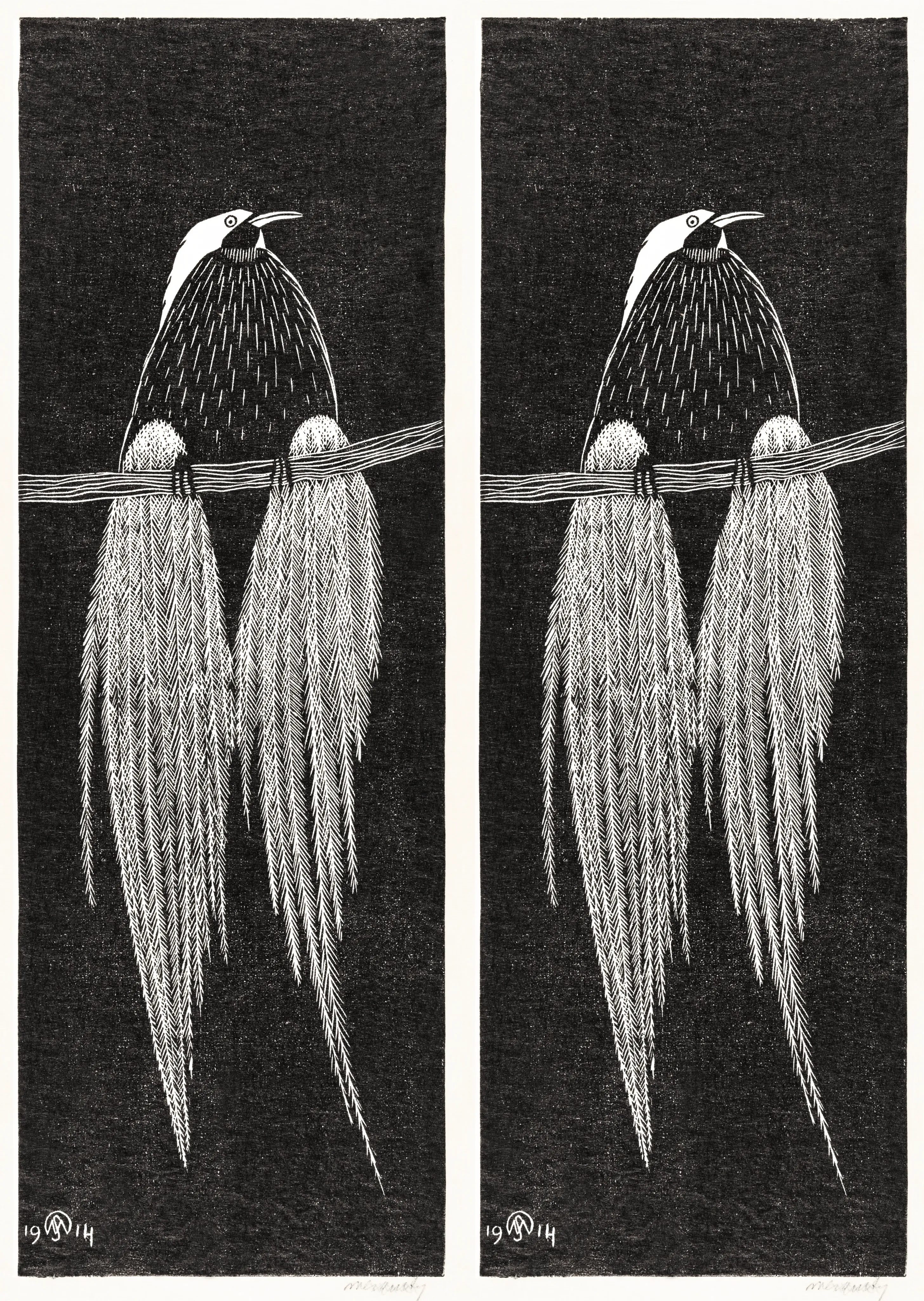 Bird of Paradise image 1