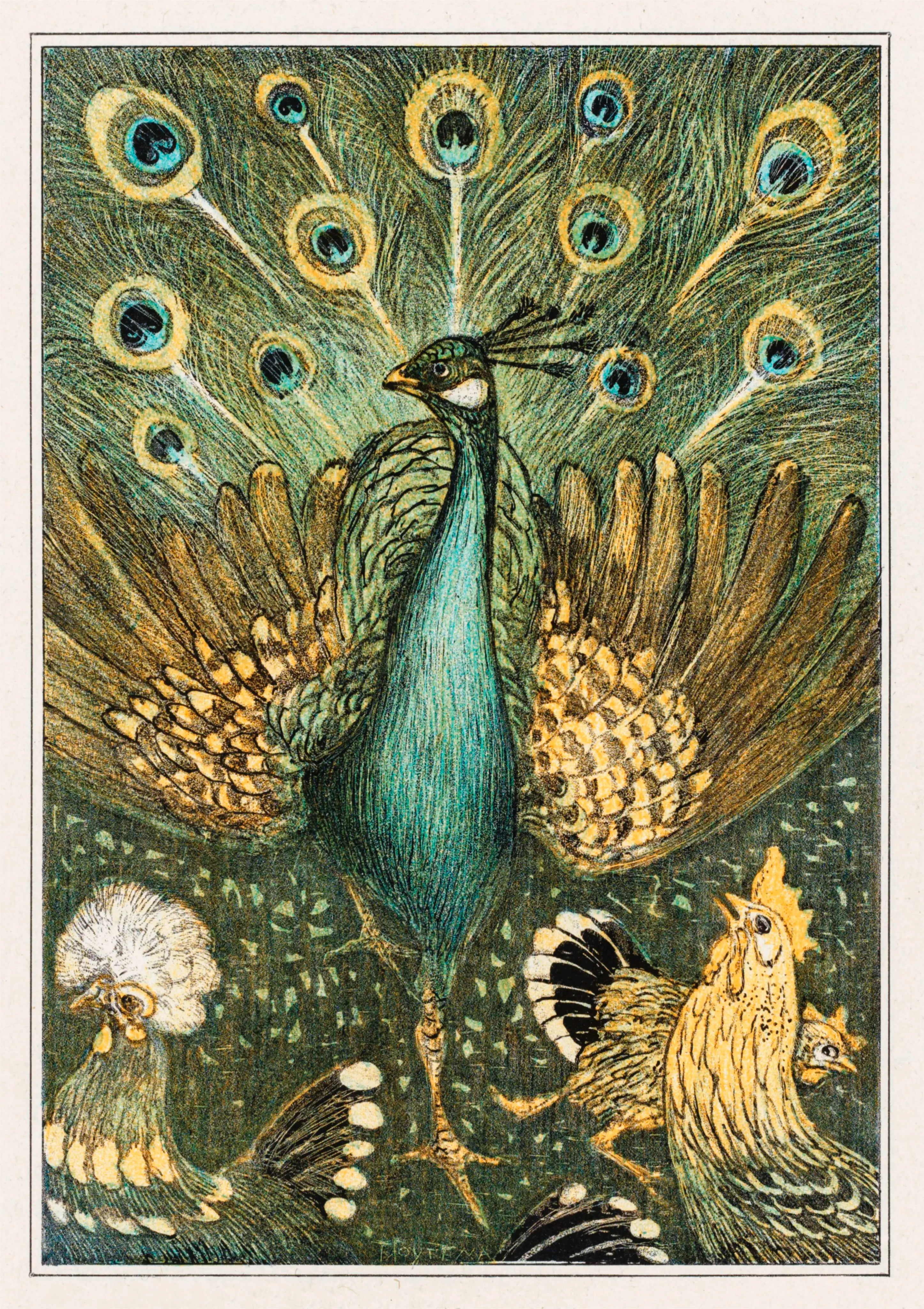 Peacock with Poultry image 1