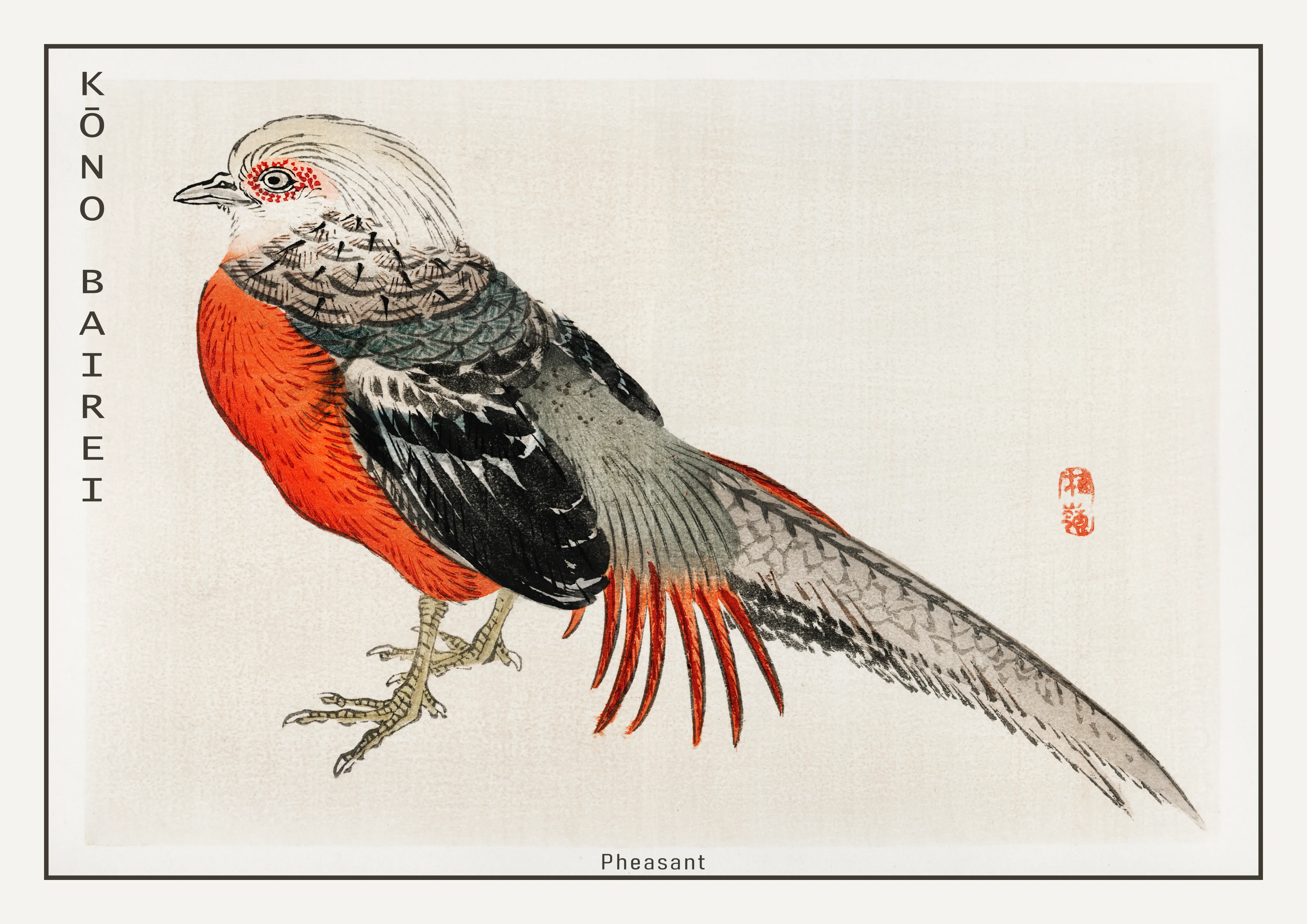 Pheasant — Poster edition