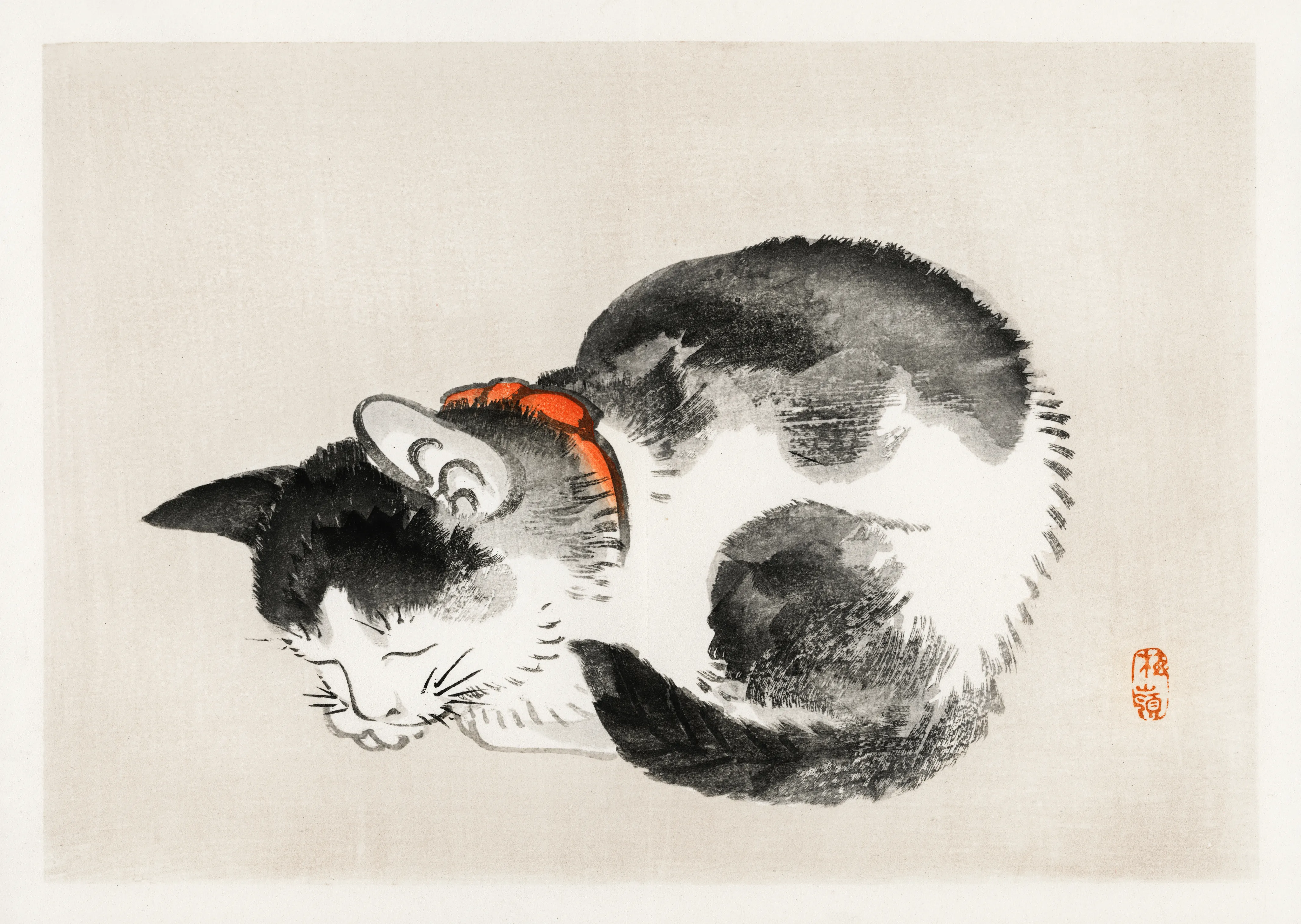 Sleeping Cat — Print edition