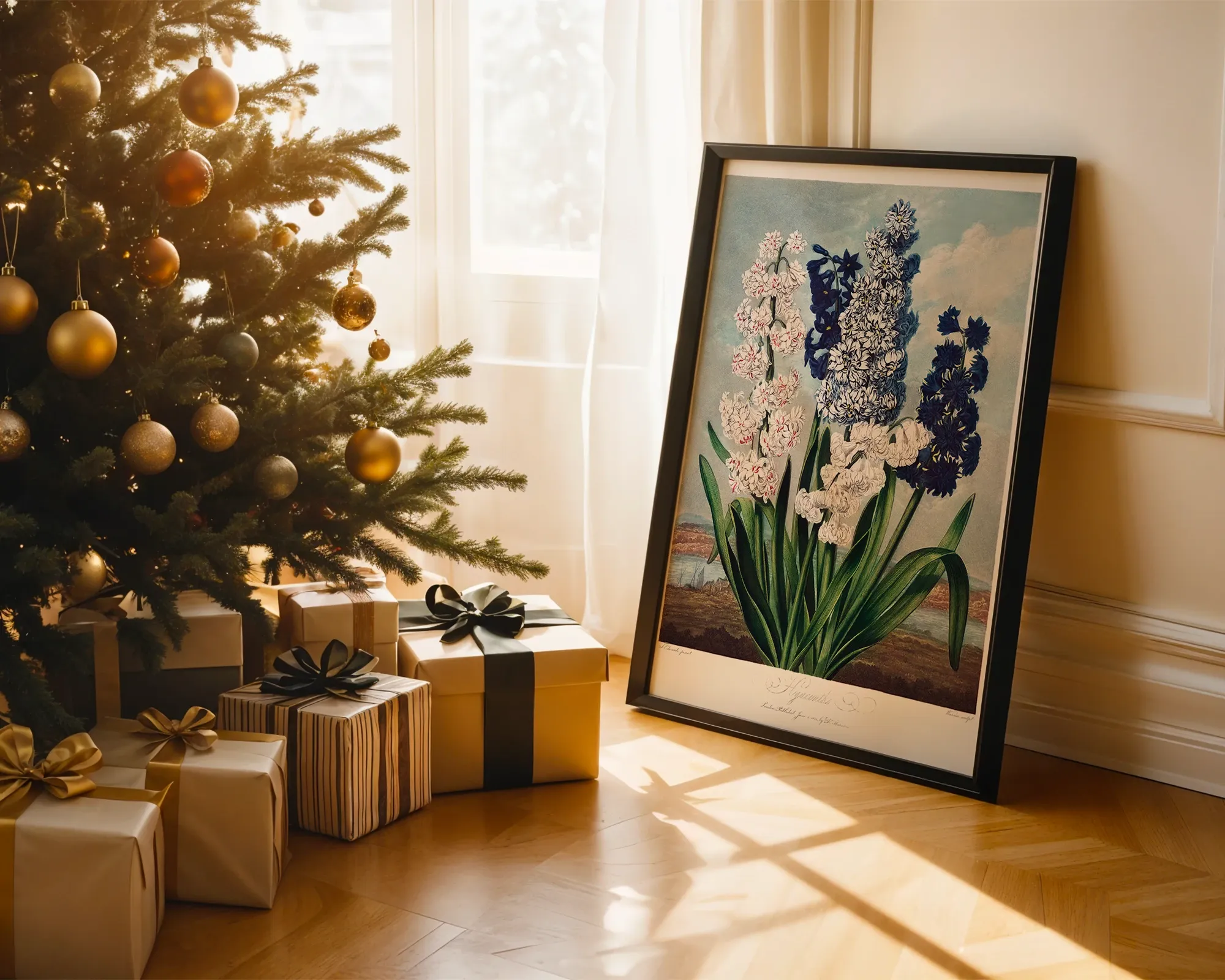 The Hyacinth — room view 2