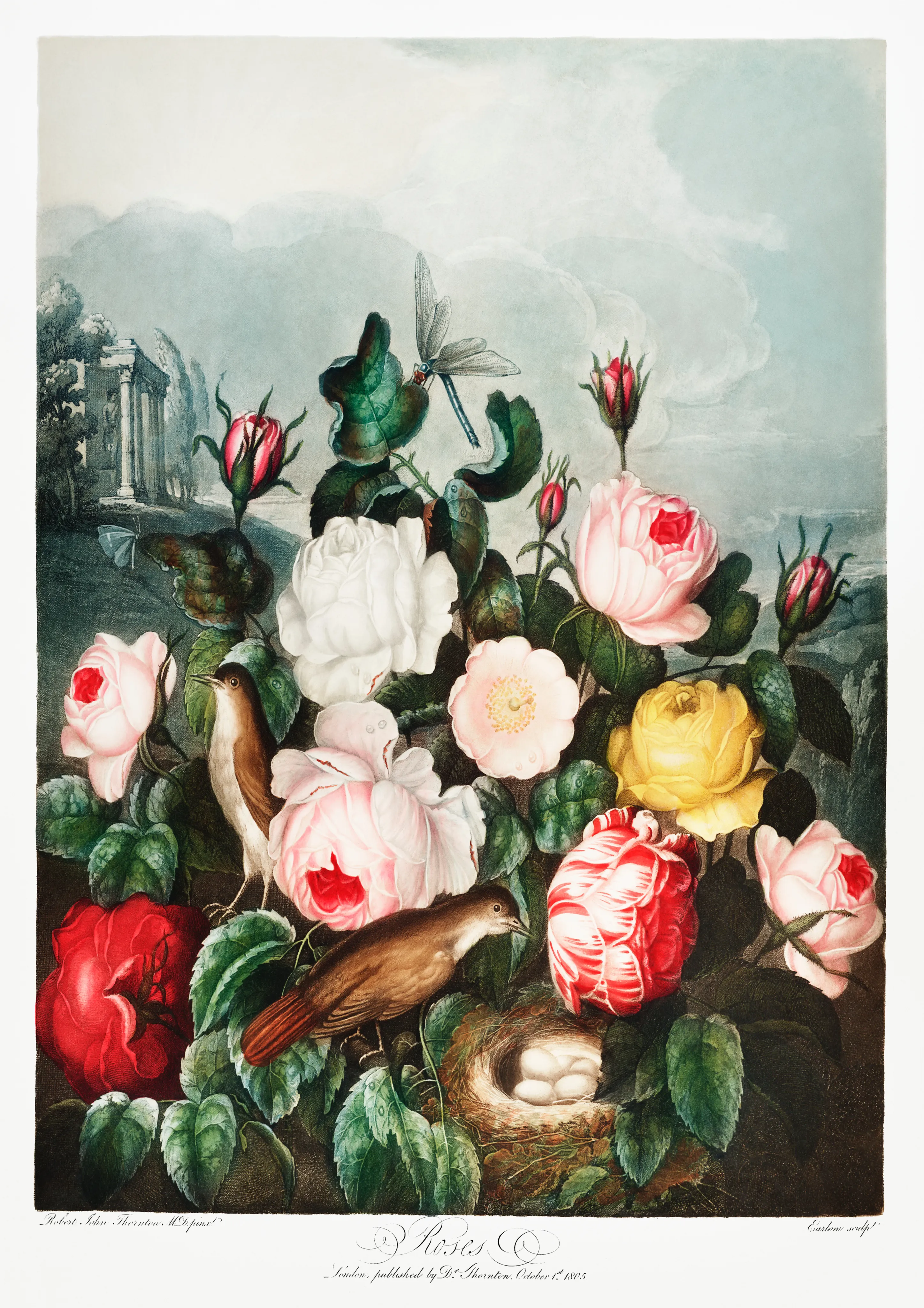 The Roses image 1