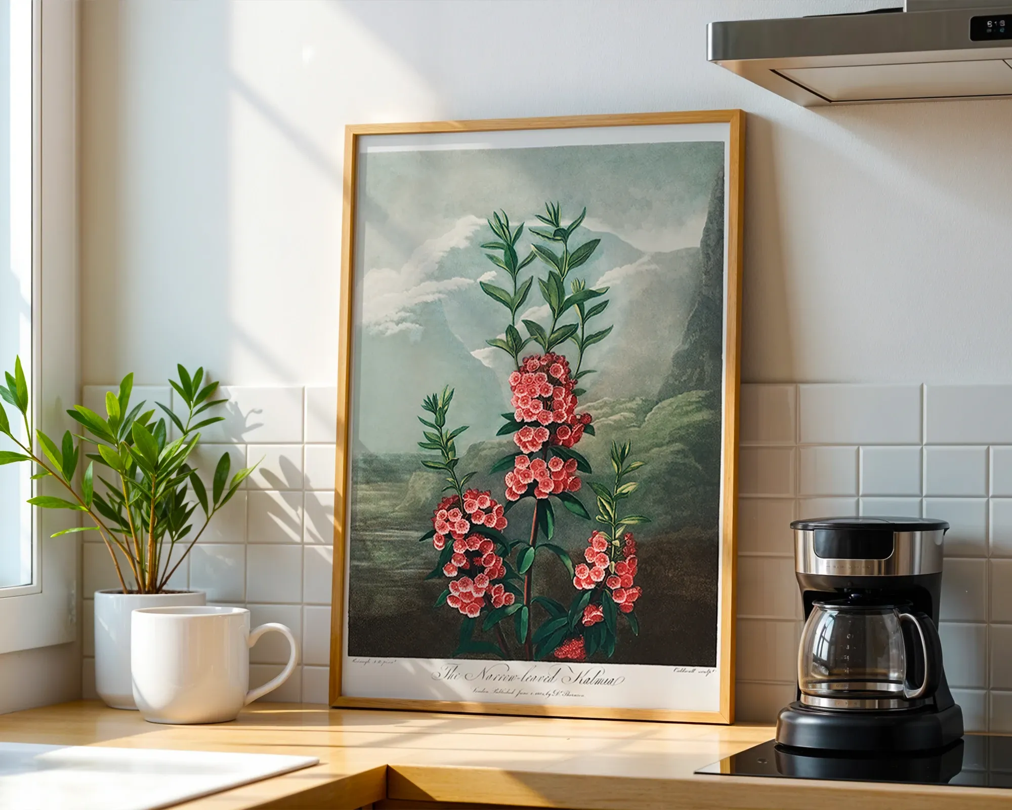 The Narrow-Leaved Kalmia — room view 1