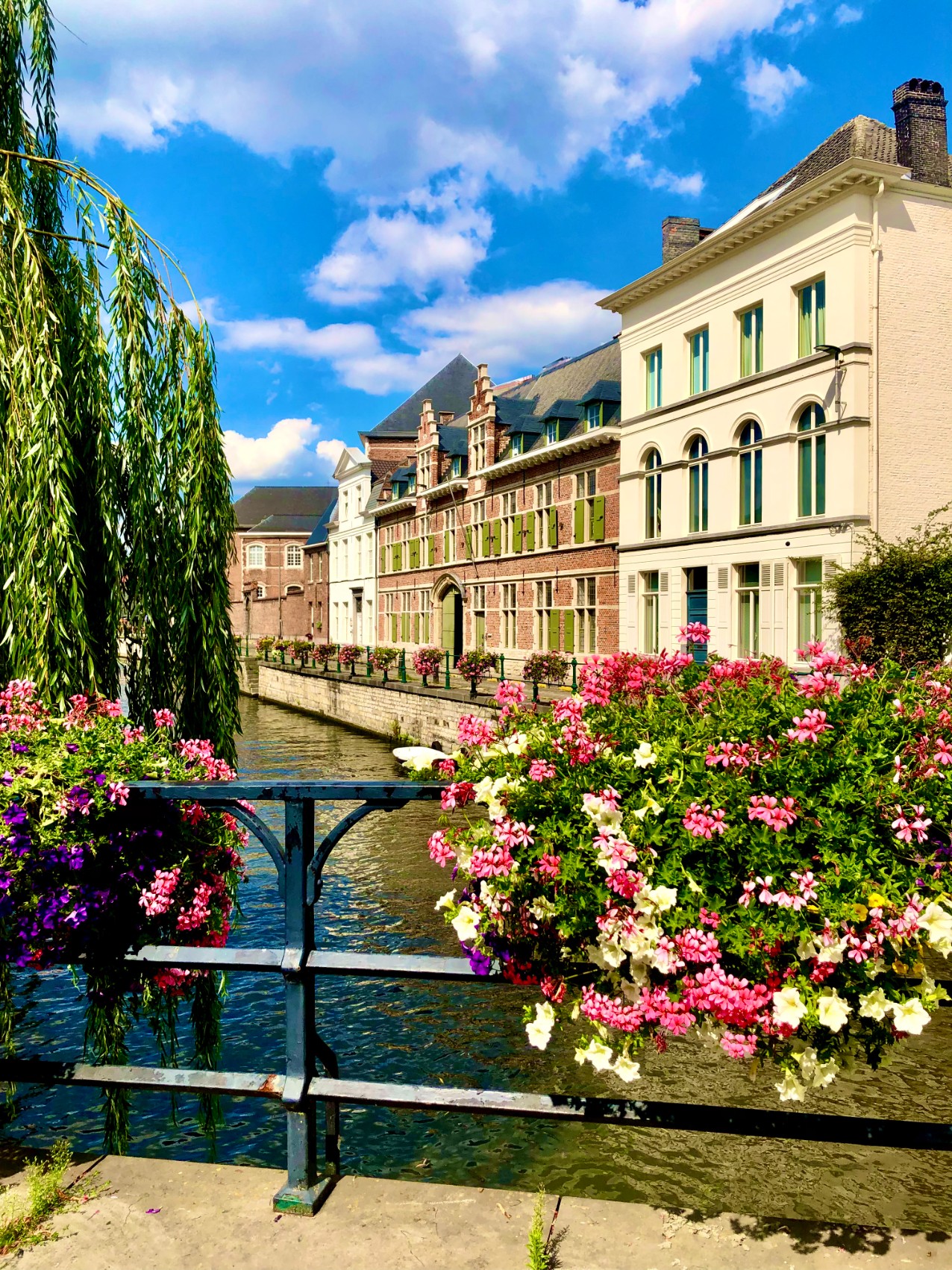 Waterfront gardens in bloom along the Ghent canal