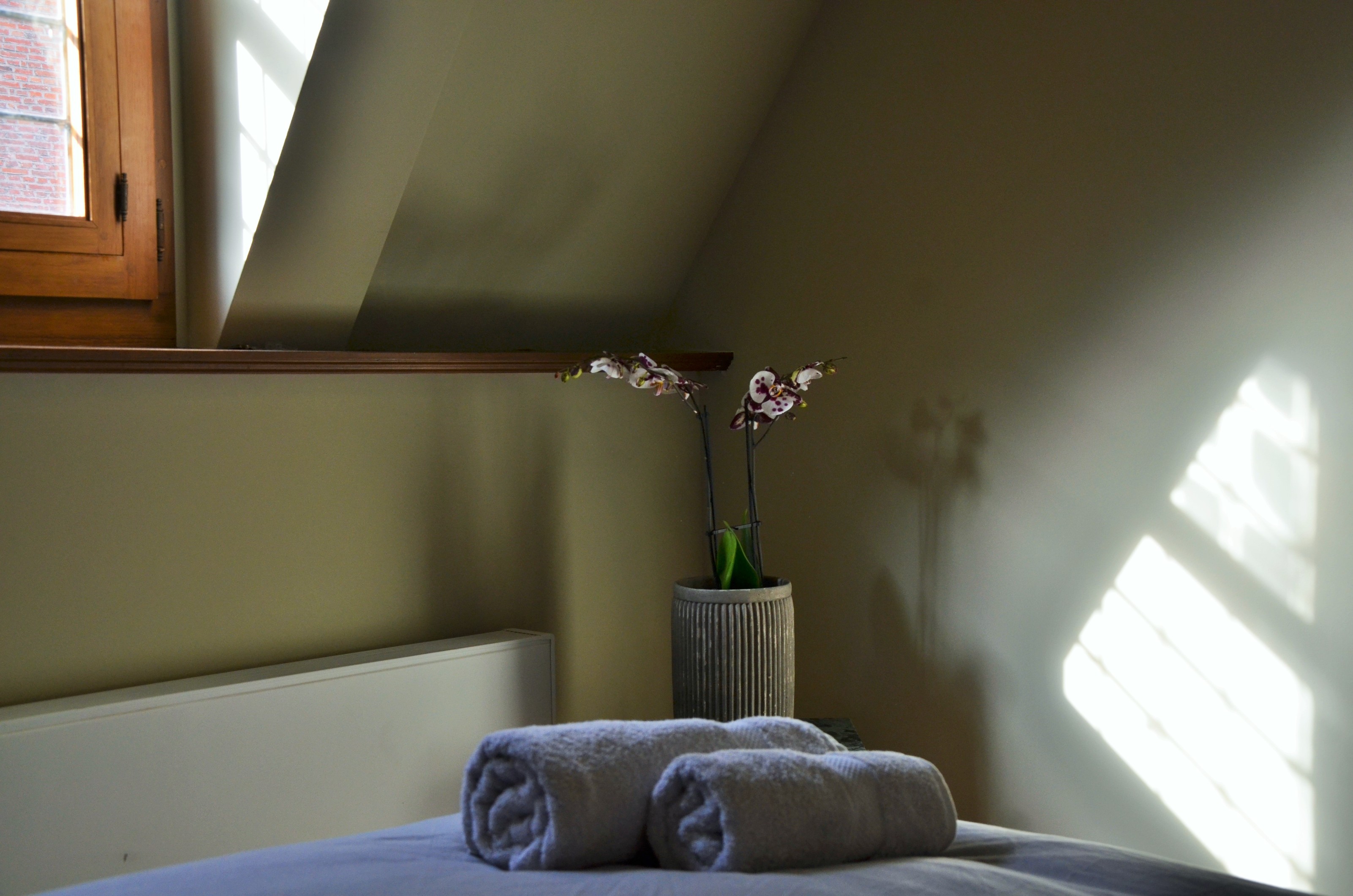 Hoek van de kamer met opgerolde handdoeken, orchidee en dakramen