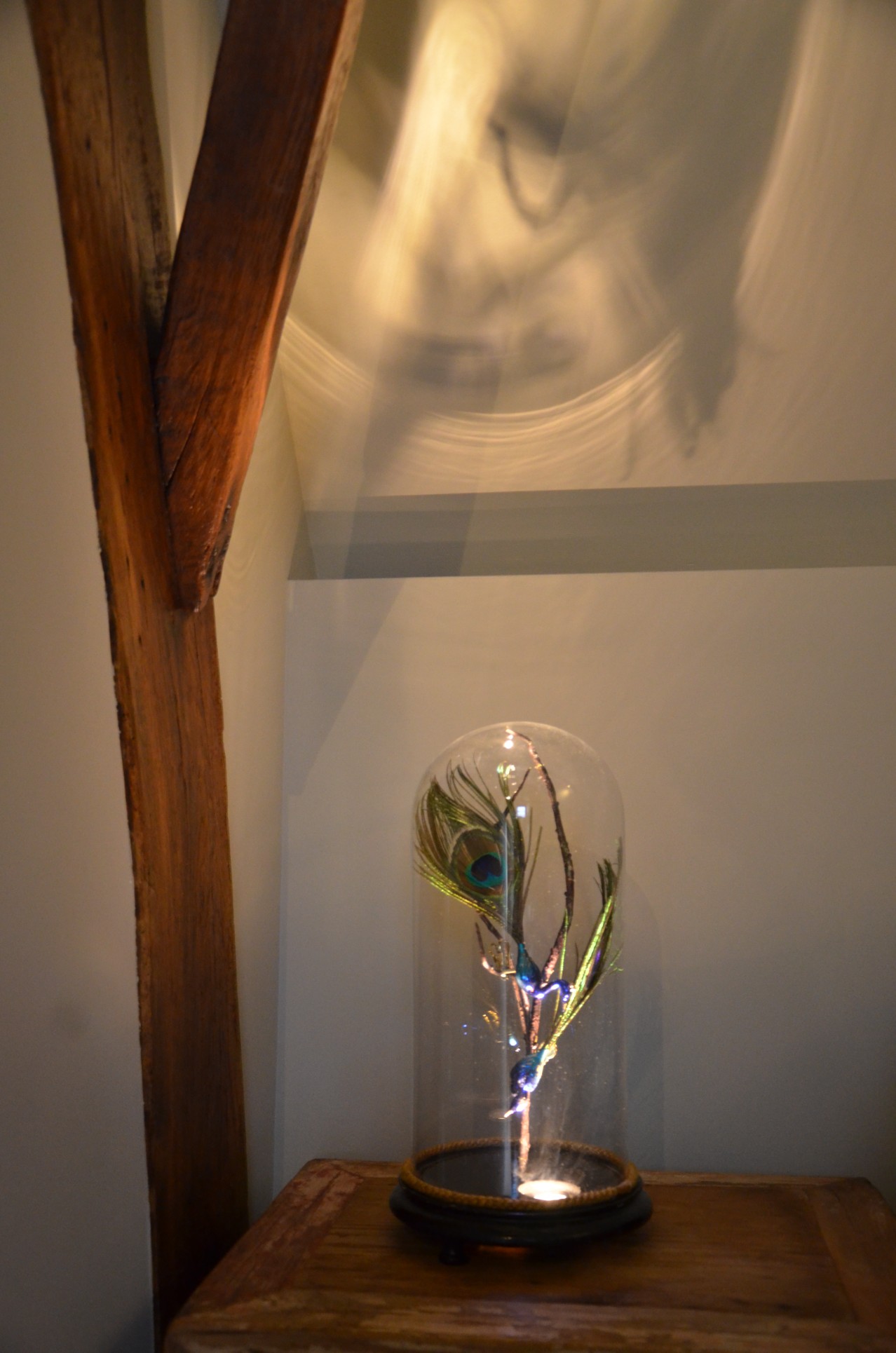 Glazen stolp met pauwenveer, een van de vele details in huis