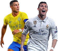 Banner image