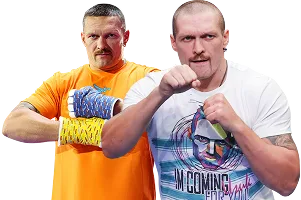 Banner image