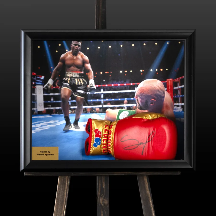 Боксерська рукавичка з автографом Чемпіона UFC Франсіса Нганну