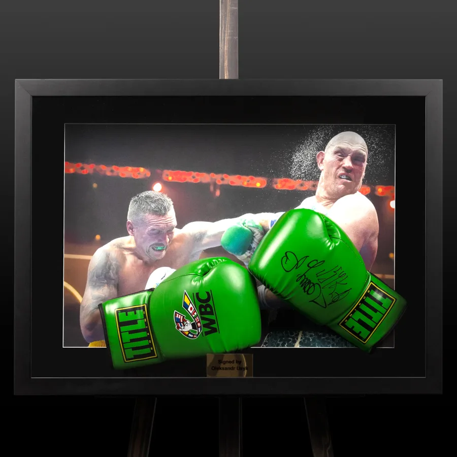 Боксерські рукавички WBC з автографом Олександра Усика (Usyk)