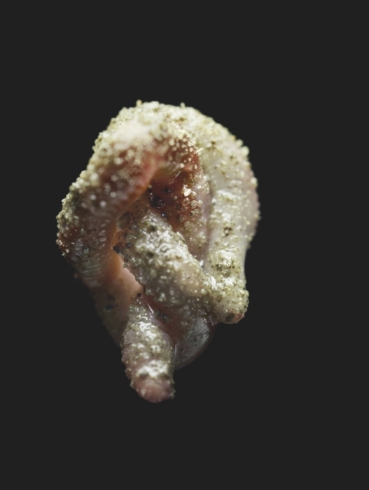 Nahaufnahme einer rohen Schweinebacke mit grobem Salz. Die Backe hat eine unregelmäßige Form und eine rosa-braune Farbe. Das Salz bedeckt einen Großteil der Oberfläche und wirkt kristallin.