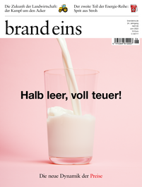 Produktbild für brand eins 06/2022 (Digital)