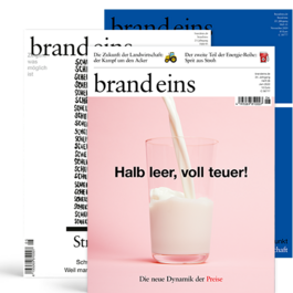 Produktbild für 3x brand eins: Die neue Konsumgesellschaft, Kassensturz, Preise