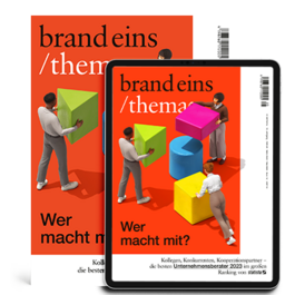 Produktbild für Print + Digital: brandeins /thema Unternehmensberater 2023
