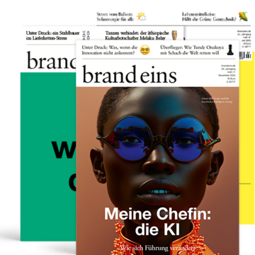 Produktbild für Führung & Wandel-Paket