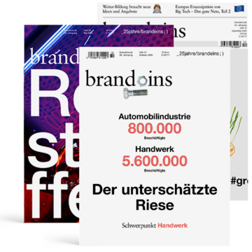 Produktbild für Handwerks-Paket