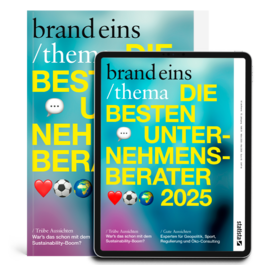 Produktbild für Print + Digital: brandeins /thema Unternehmensberater 2025
