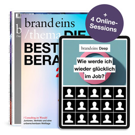 Produktbild für Consulting-Abonnement