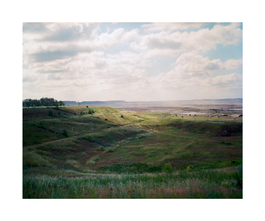 Produktbild für Landschaft