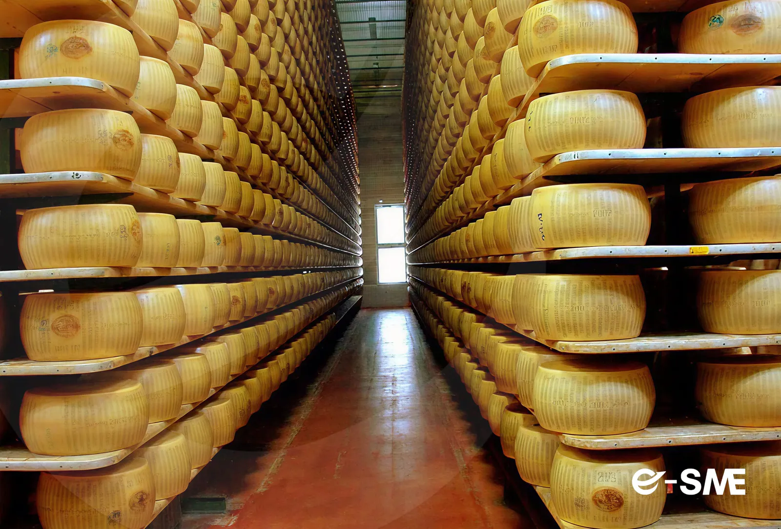 PMI Innovativa produzione formaggi alta gamma