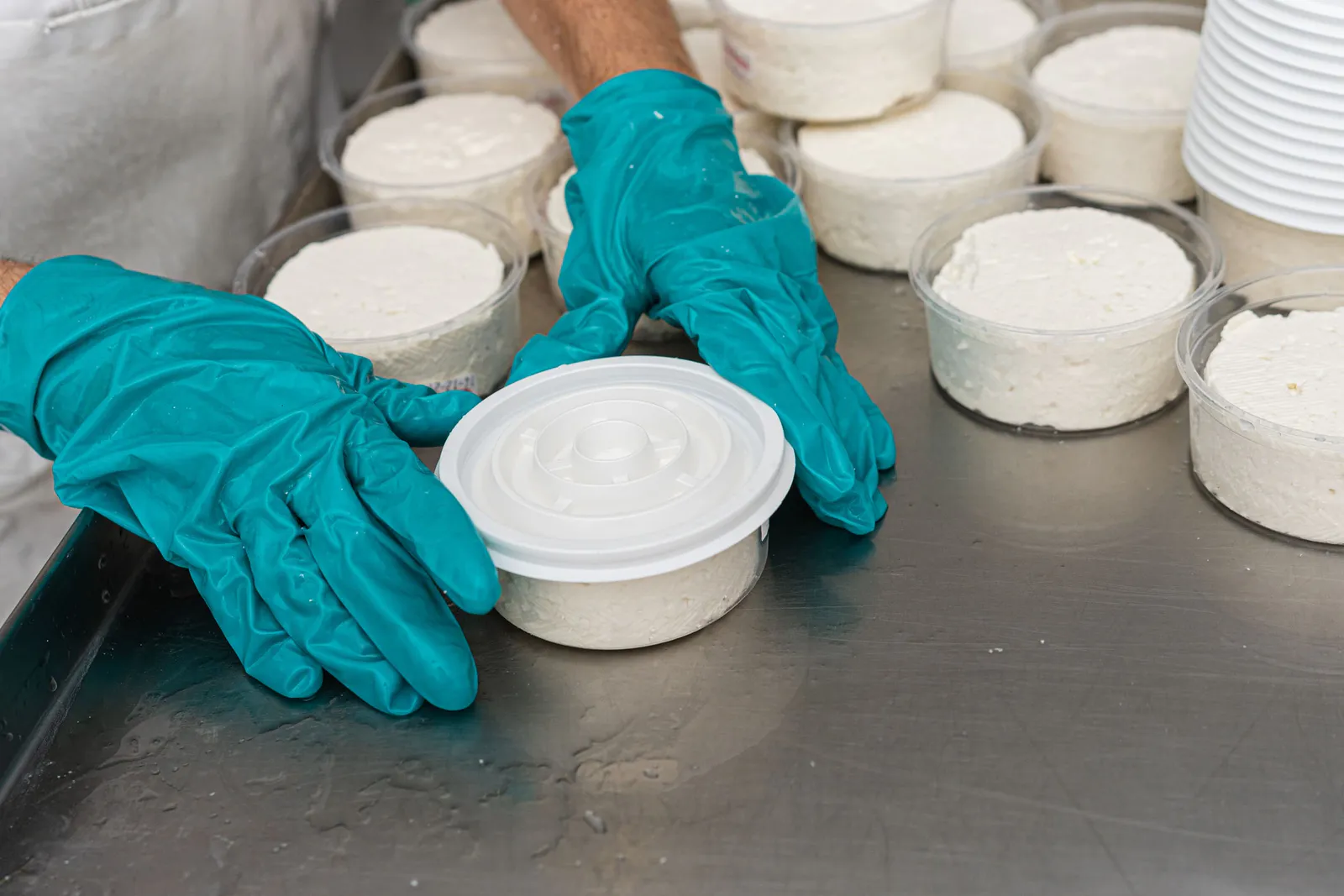 Vendita azienda casearia, latte vaccino e capra, specialista freschi e yogurt