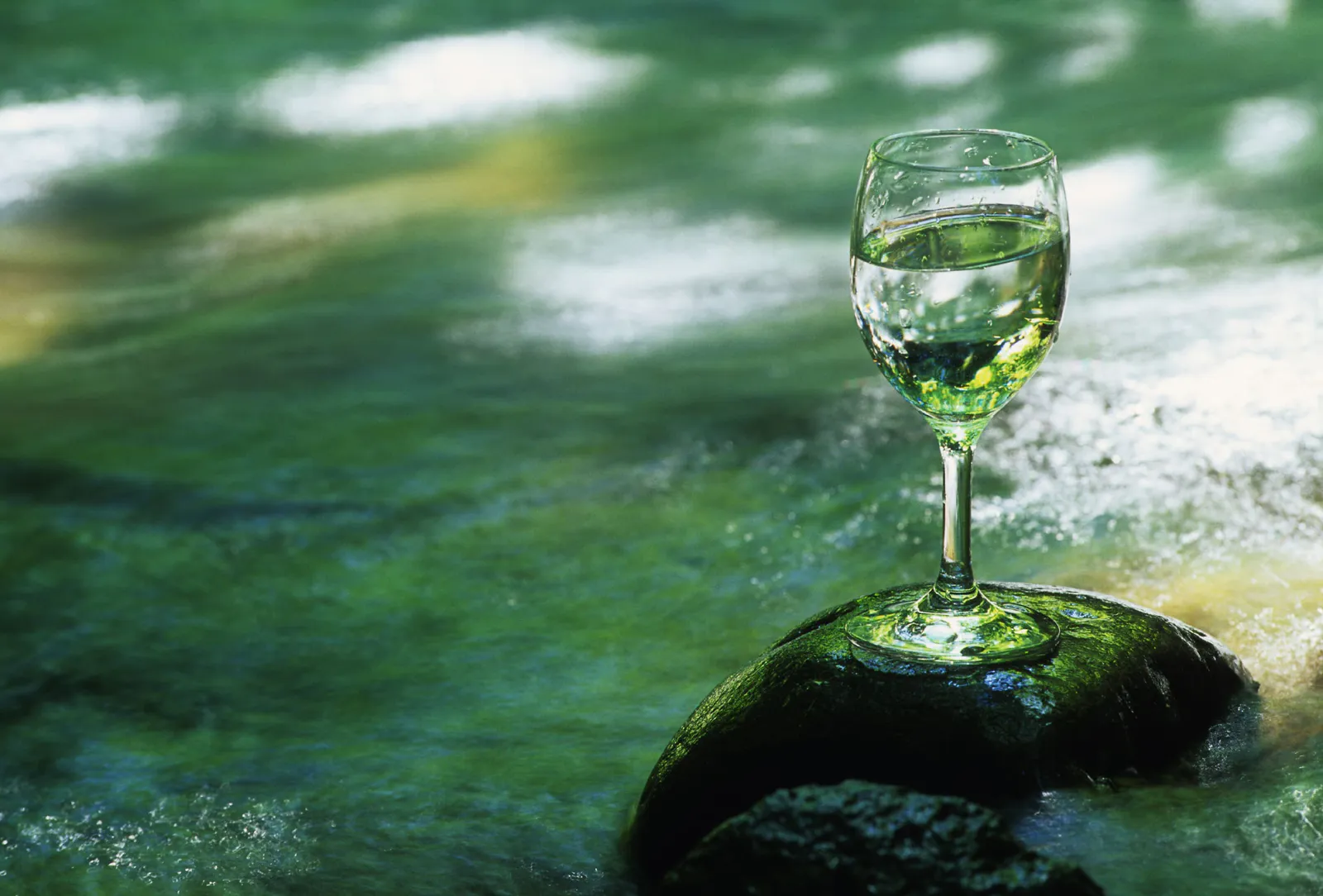 Vendita Acqua Minerale Imbottigliamento con Sorgente – Centro Italia