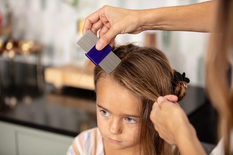 child receiving head lice treatment