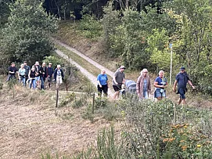 Rosèwalk  2026