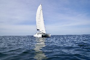 DSC06633
