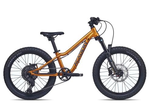 Academy Trail 4