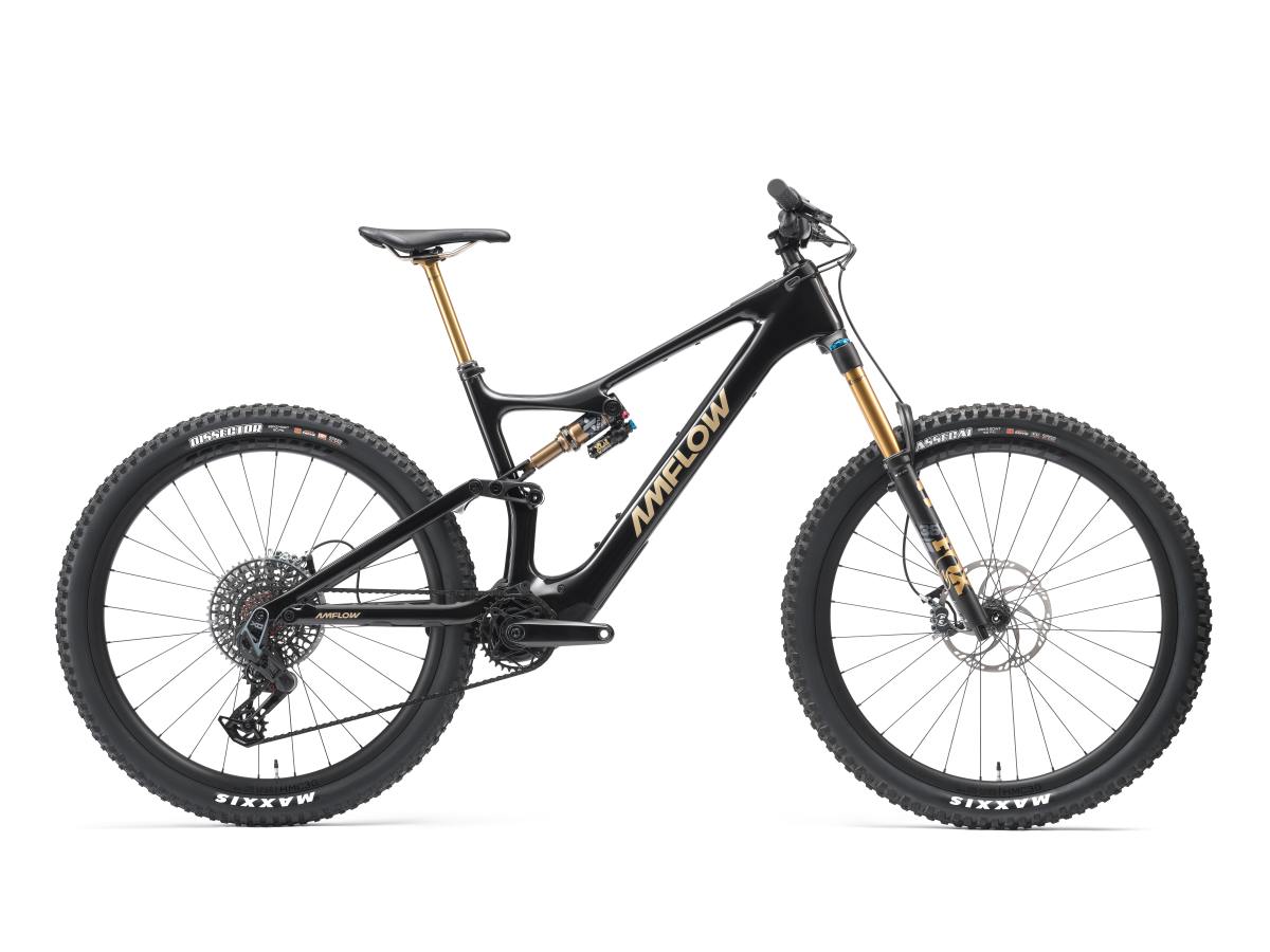 Amflow PL Pro 800 29' ' Carbon